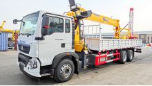 Xcmg 12 ton Rear Mounted Crane Truck